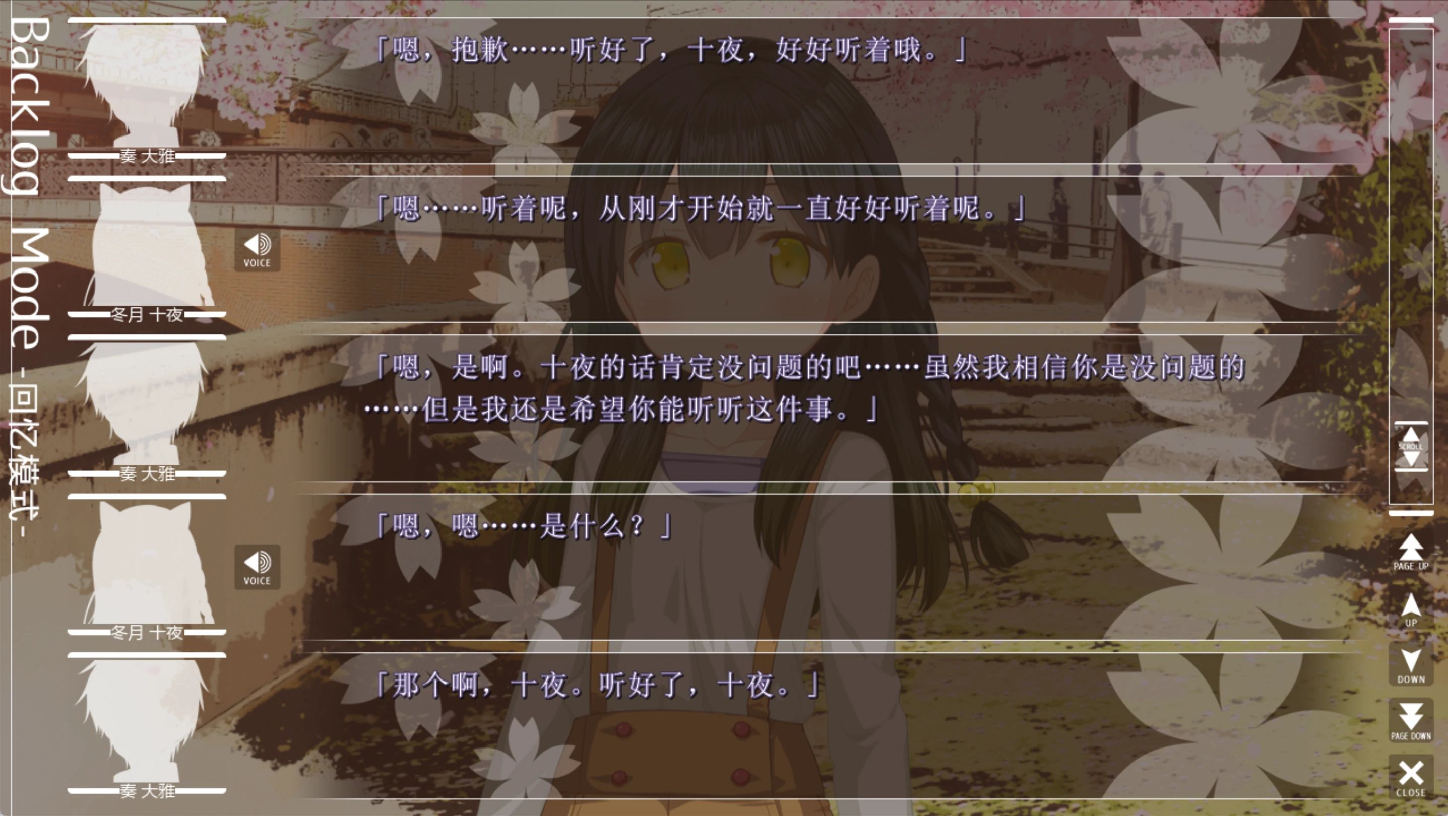 37.webp